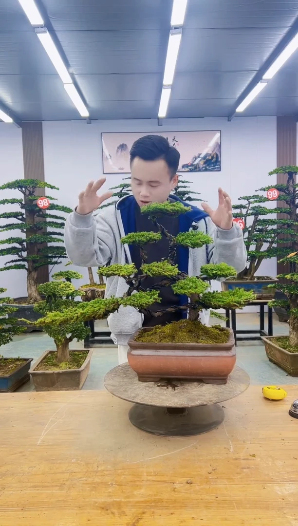 无花朵00000000000