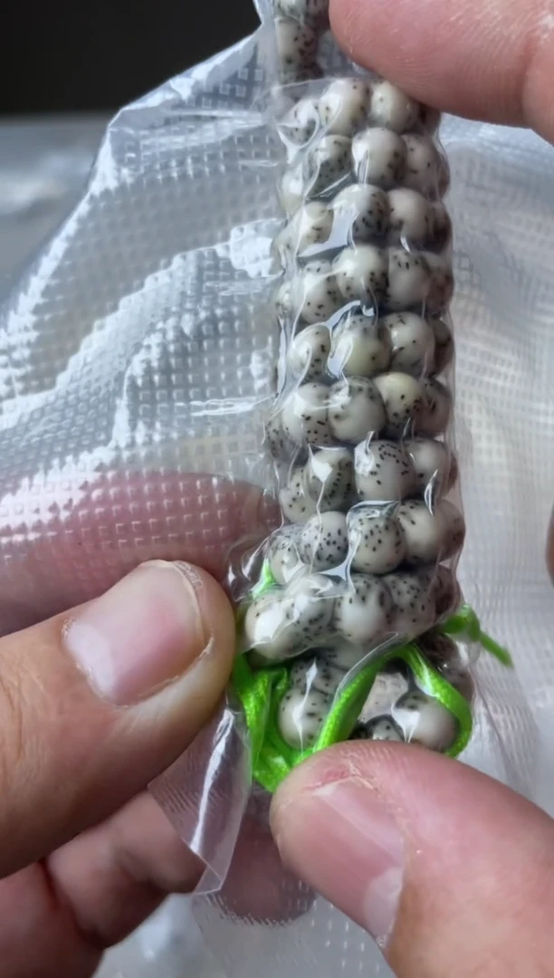 吊坠星月菩提糯冰料卡7mm厚切嘟嘟肠