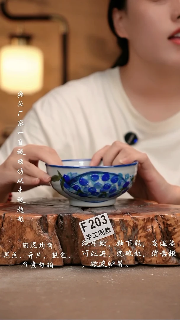 其他F203 新十二器