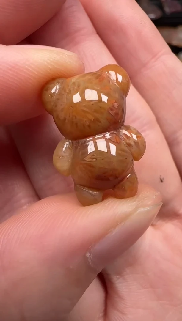 硅化珊瑚（珊瑚玉）未镶嵌颈饰108