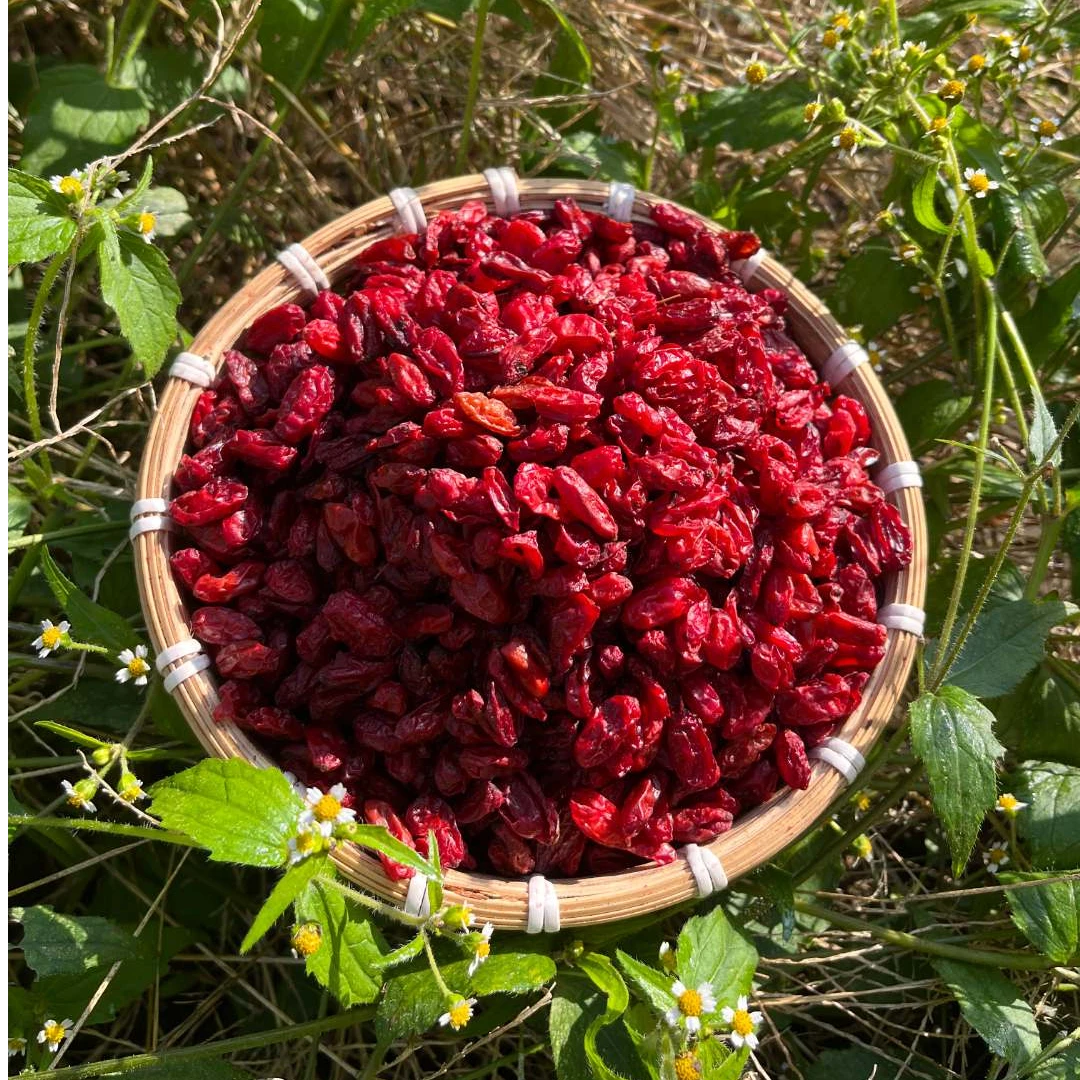 伏牛山去核山茱萸原产地发货可煮水可搭配枸杞泡水
