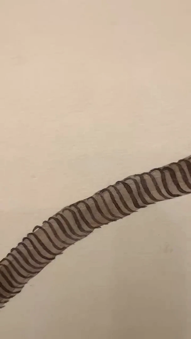 国画李纲-2.7平尺-花鸟国画