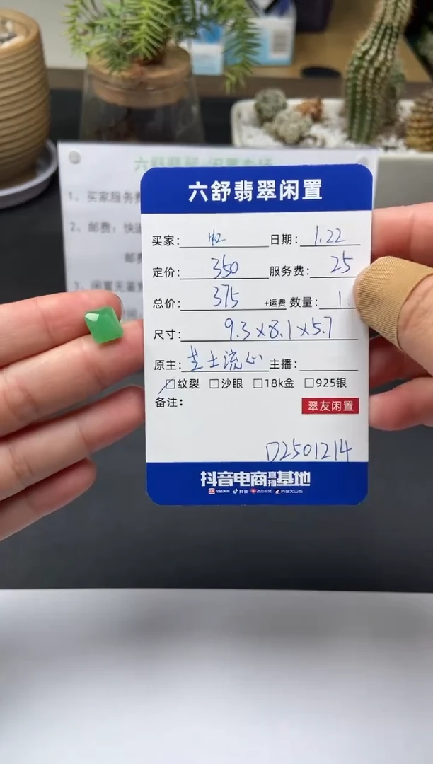 【闪购商品】翡翠颈饰未镶嵌D2501214