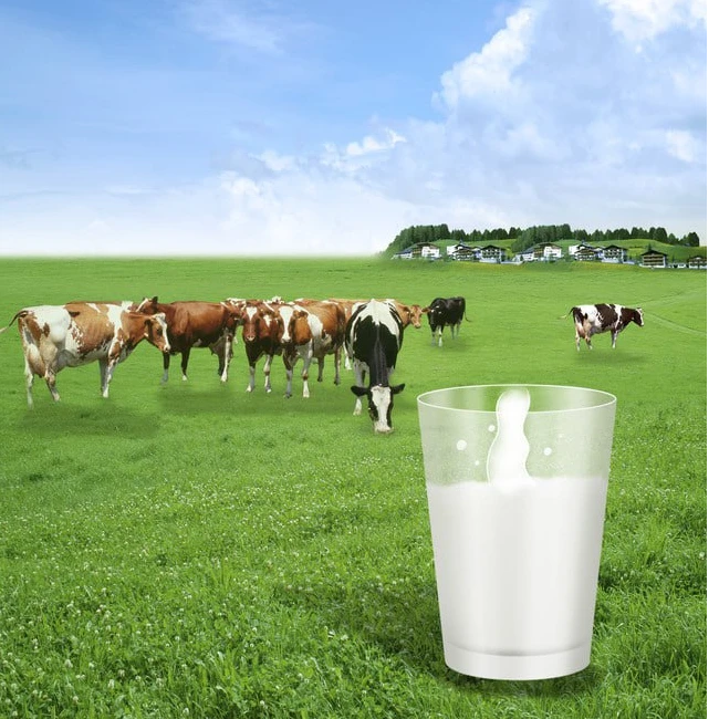 【好品】900g 小宝贝成长配方