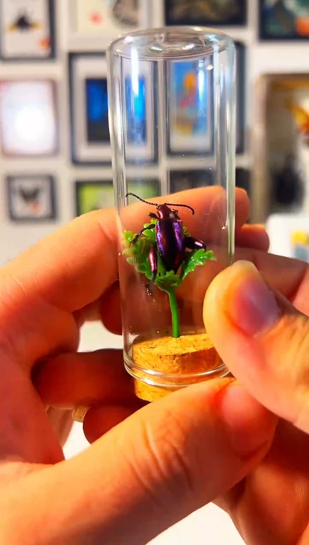 有机玻璃84648884