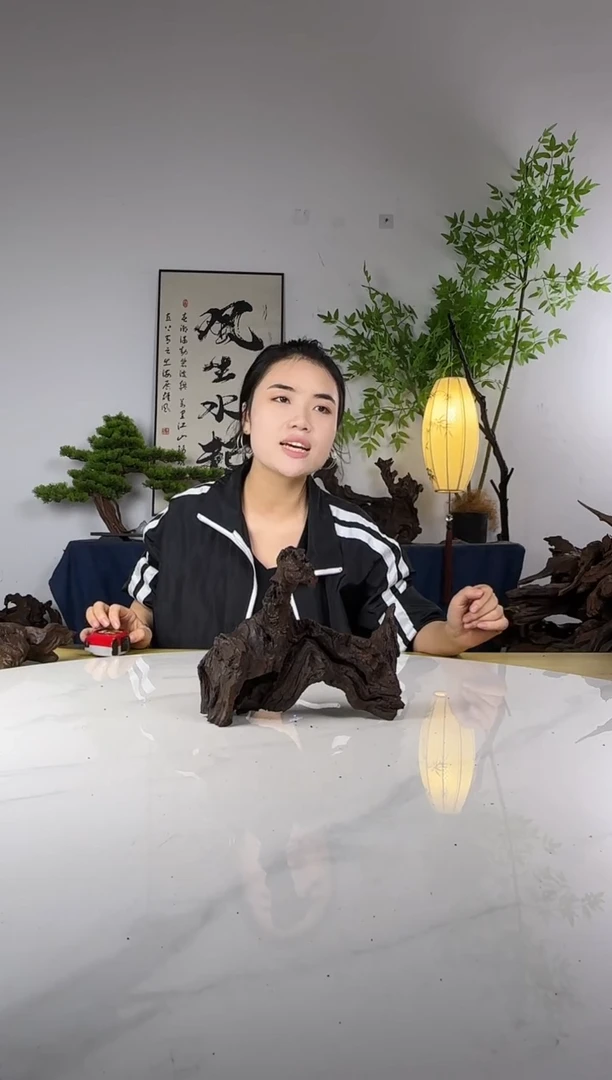 国****》拍这个定向编号86