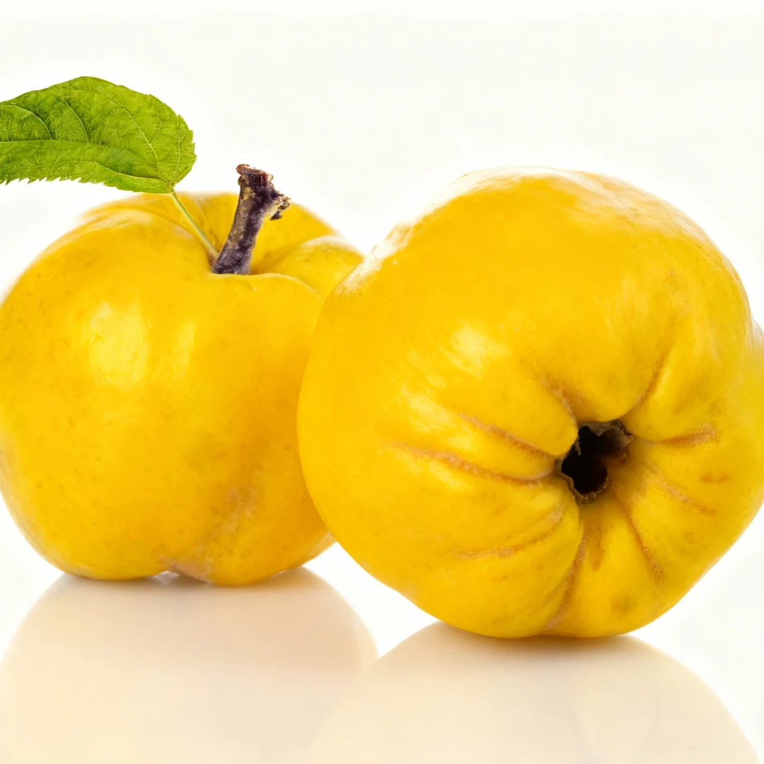 榅桲（biye）新疆特色罕见水果