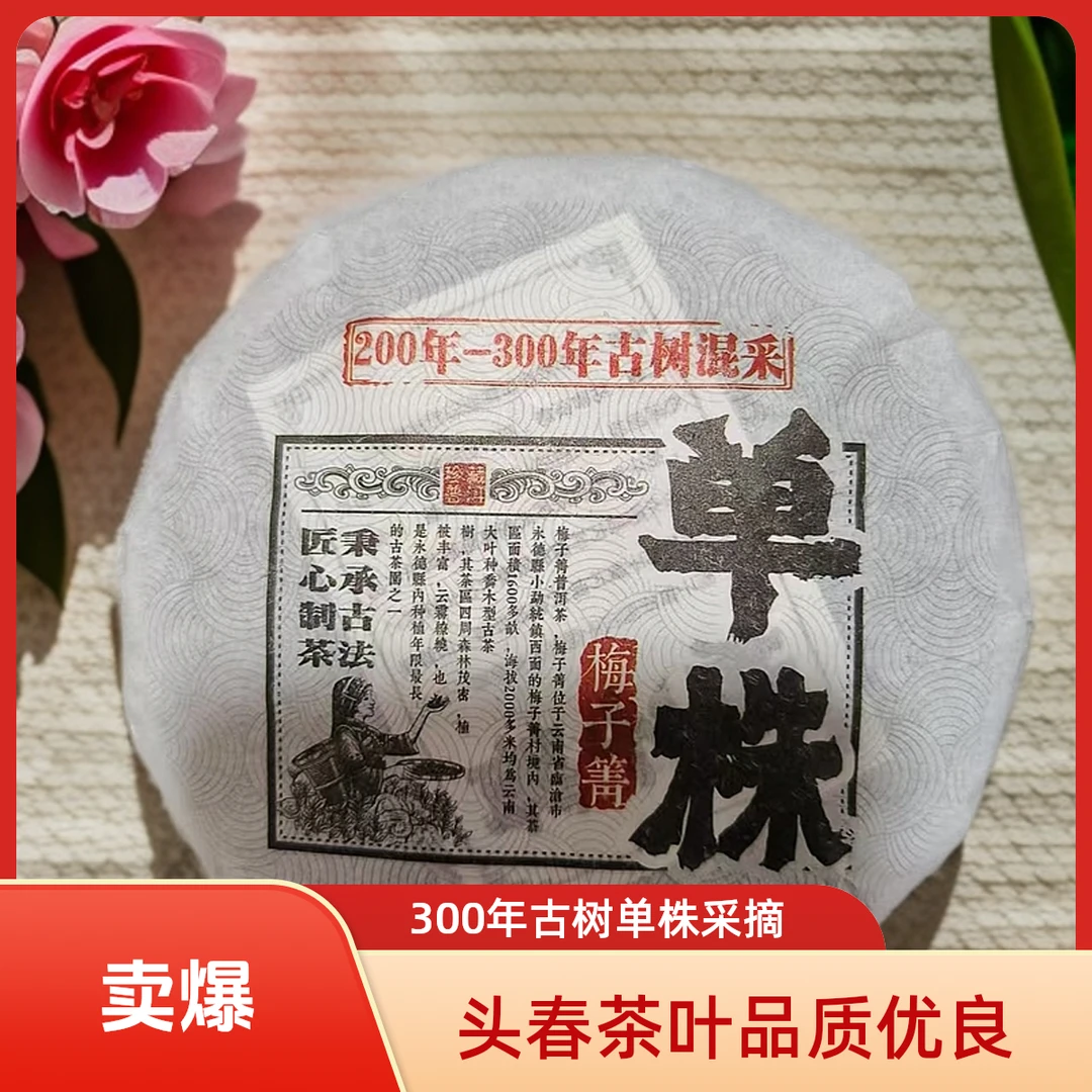【云南普洱茶生茶】【梅子箐】副支书家24年300年古树单株头春100克饼