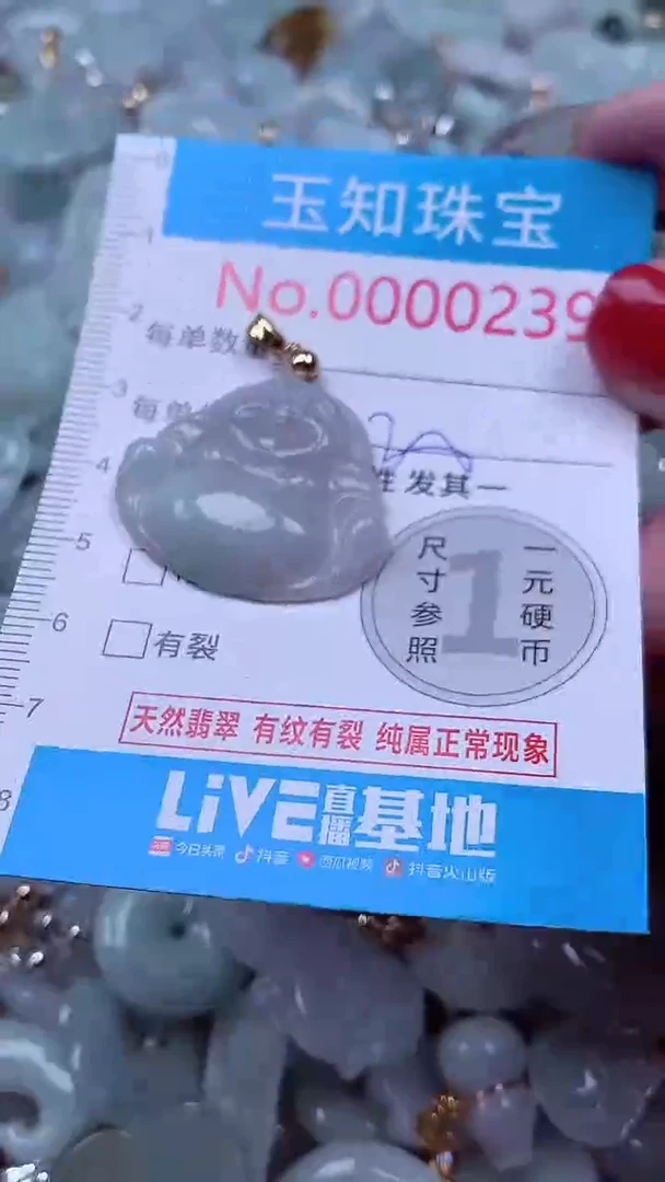 吊坠(不含链)未镶嵌翡翠239