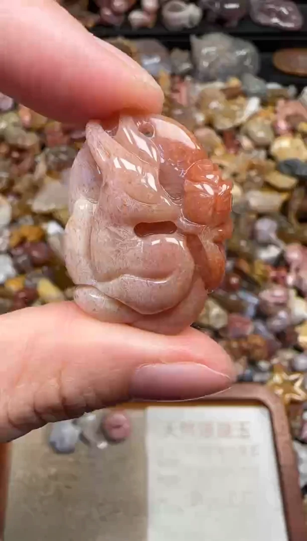 颈饰未镶嵌硅化珊瑚（珊瑚玉）199