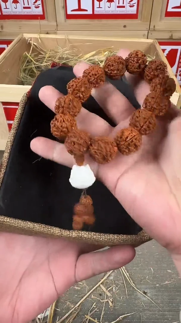 手串菩提根/象牙果金刚菩提