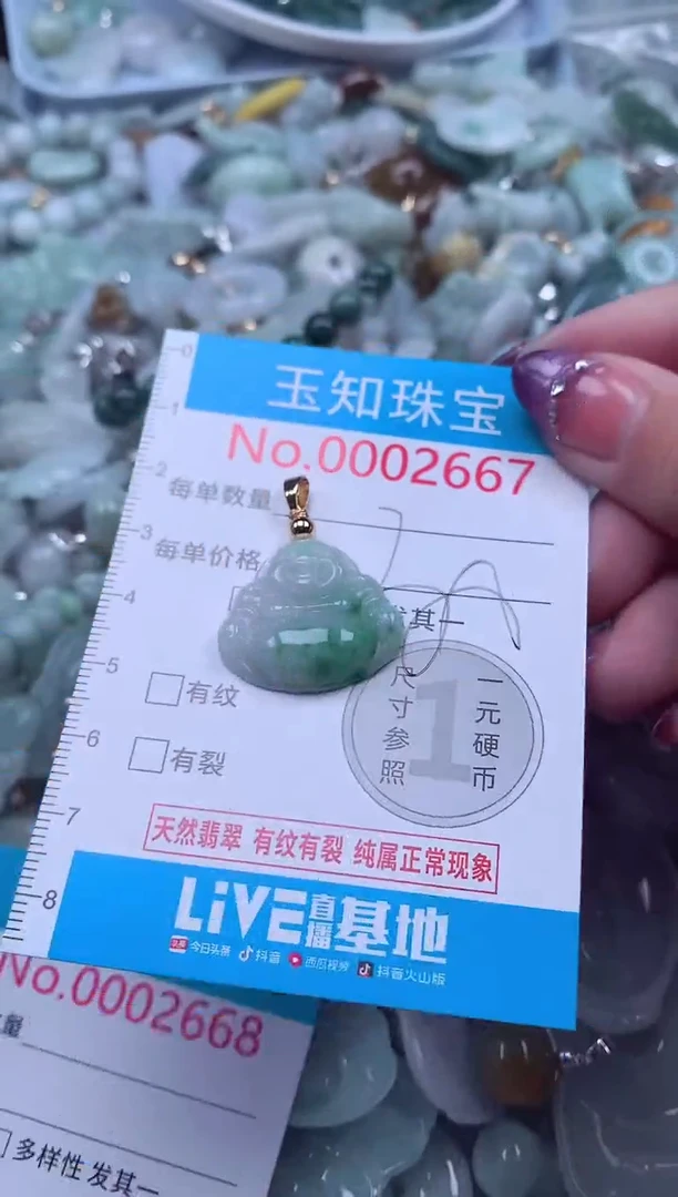 翡翠未镶嵌吊坠(不含链)2667