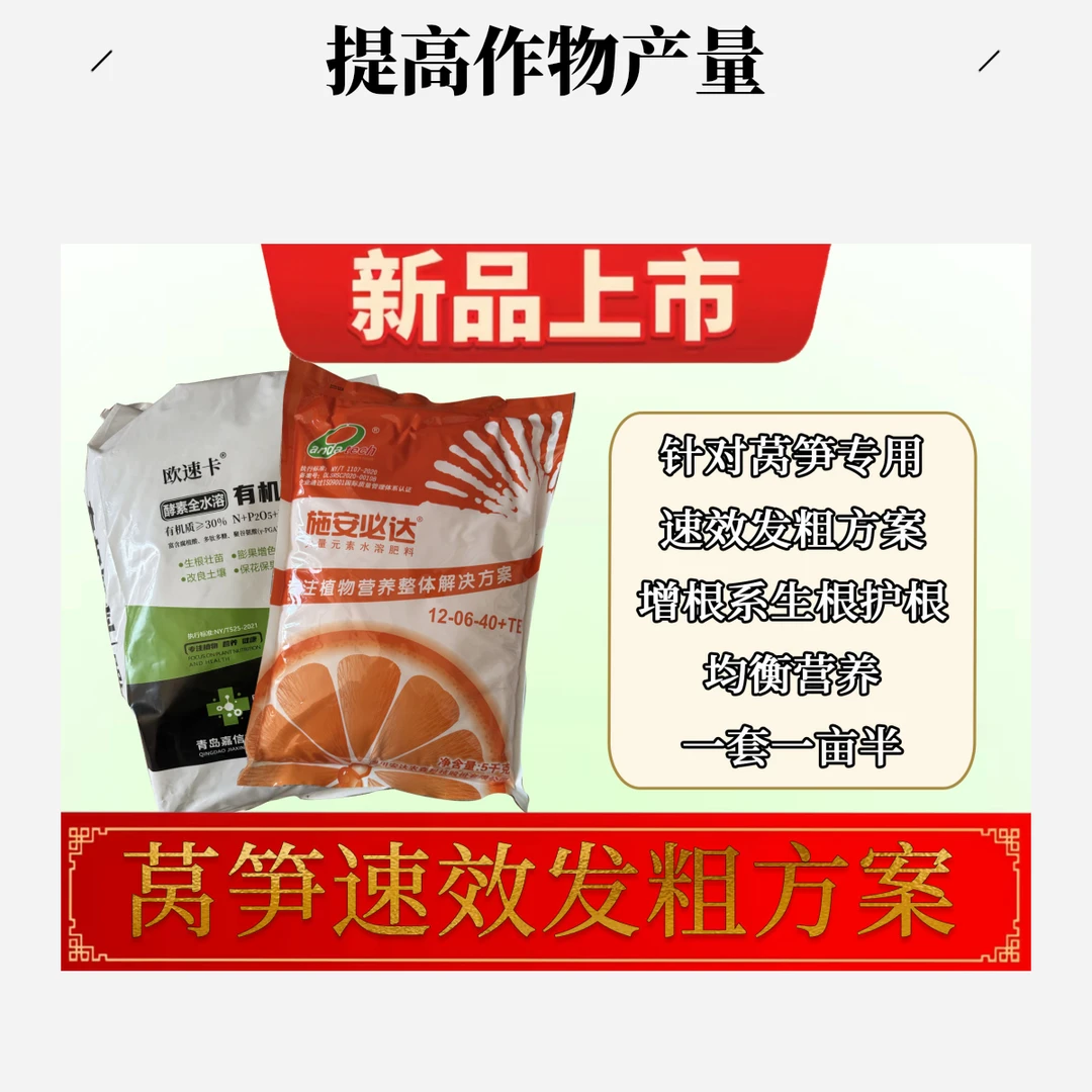 齐兴莴笋快速发粗方案均衡营养一套一亩半地