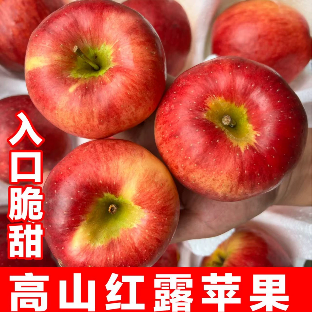 云南昭通高原苹果脆甜红露冰糖心苹果产地直采现发G1