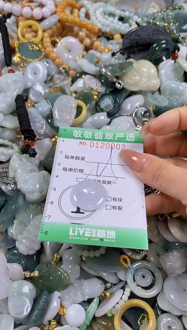 【闪购商品】翡翠颈饰未镶嵌闪购0120002