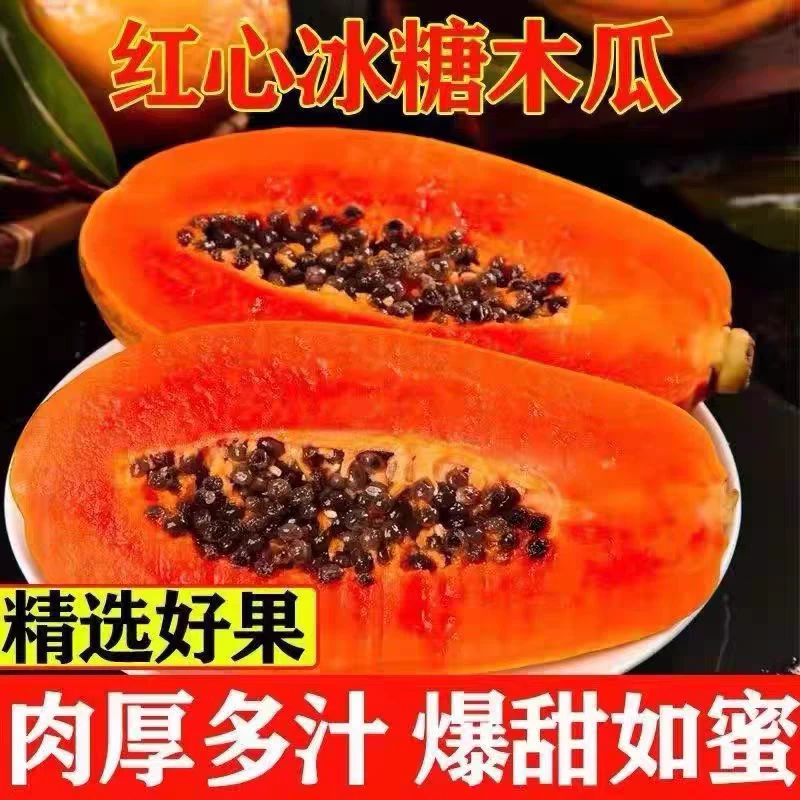 云南红心木瓜树上熟冰糖心香甜软糯新鲜水果孕妇适宜