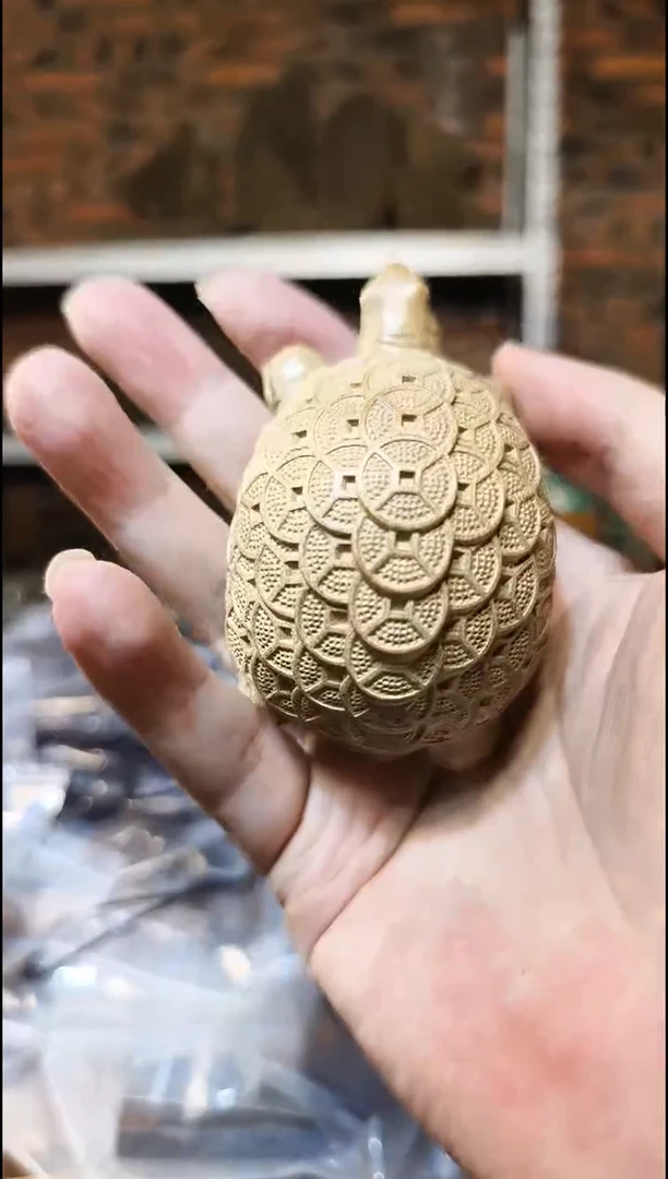 金丝楠     金钱龟