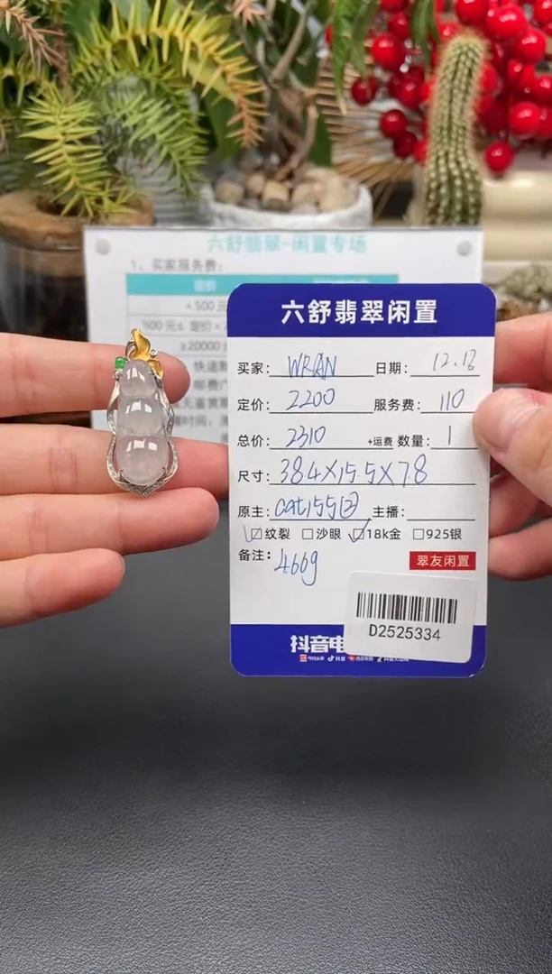 颈饰18K金镶嵌翡翠W**ND2525334