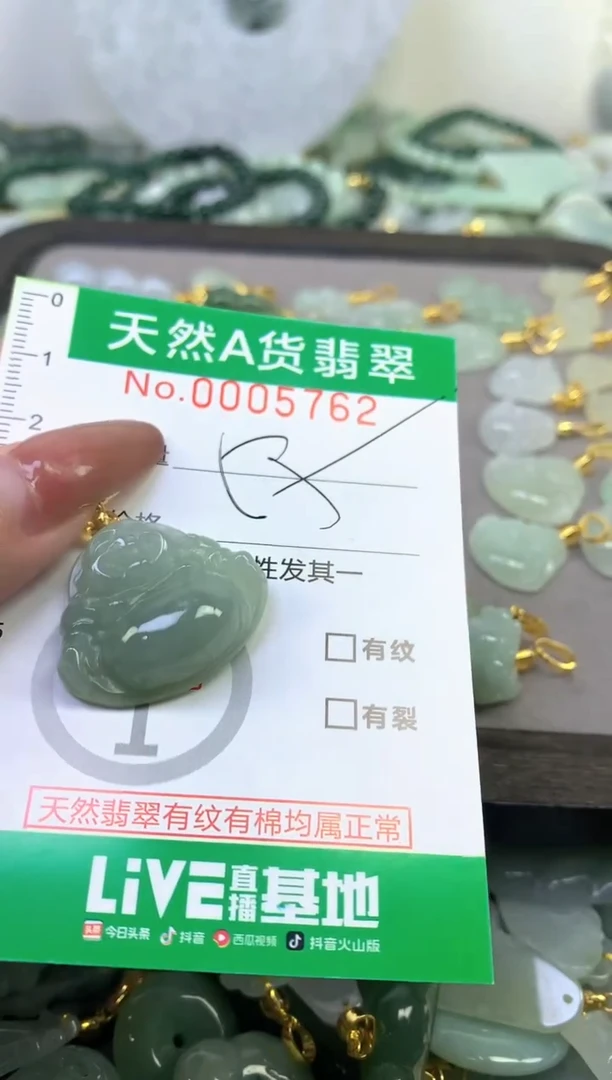 颈饰未镶嵌翡翠天然A货翡翠