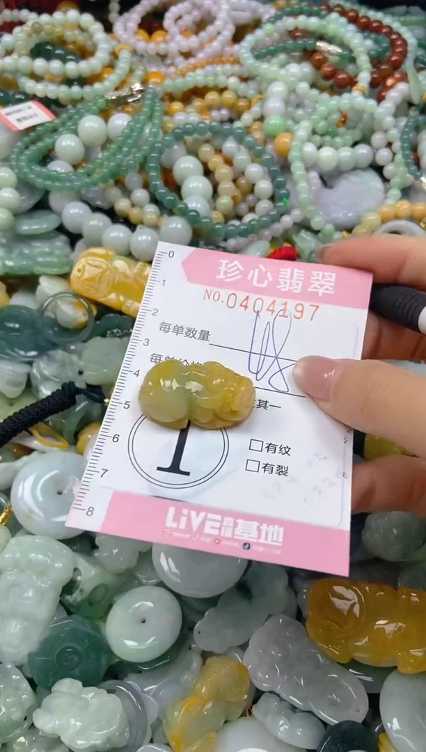 颈饰未镶嵌翡翠闪购0404197
