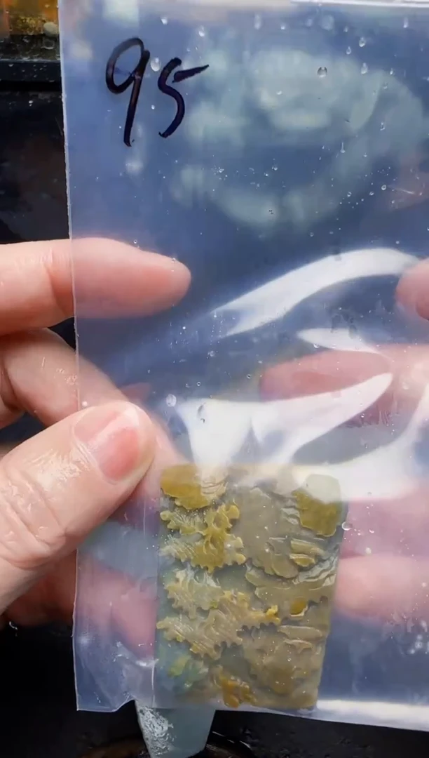 颈饰未镶嵌翡翠95