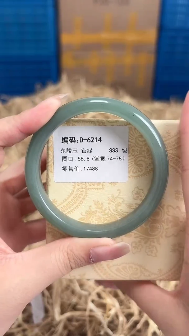 未镶嵌手镯石英质玉D-6214