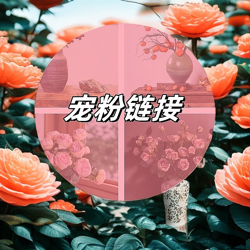 仿真花仿真果直播专用宠粉集合链接