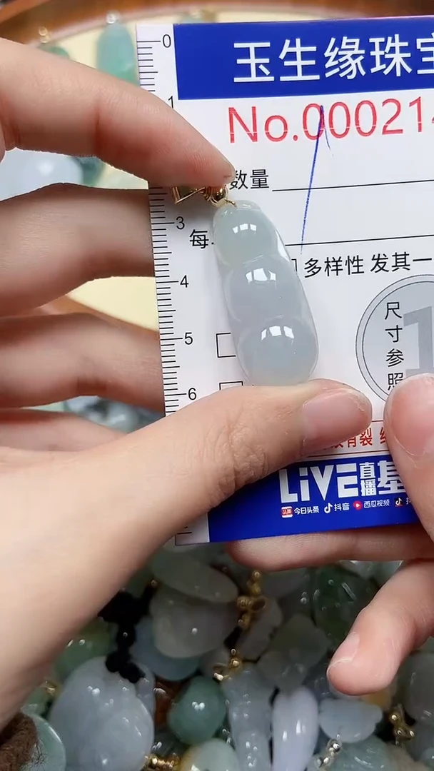 【闪购商品】翡翠颈饰未镶嵌闪购00002146