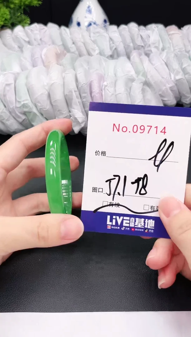 未镶嵌手镯翡翠9714