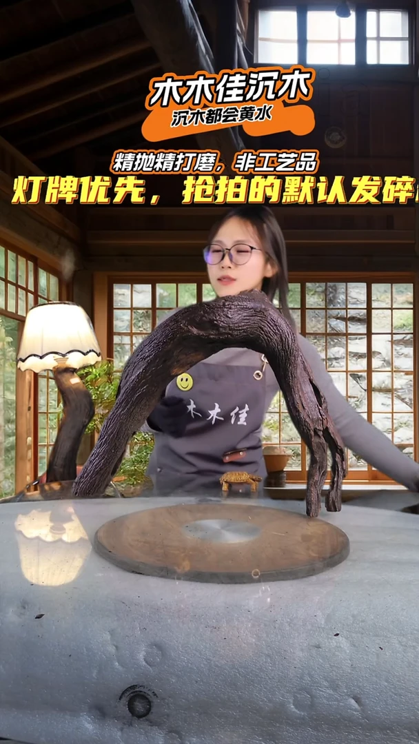 L*D木木佳沉木鱼缸造景