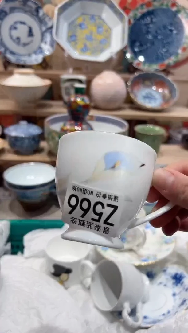 【闪购商品】瓷片当天凑满25米包邮Z566