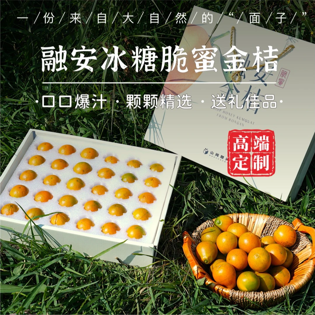 【高端定制版】广西融安脆蜜金桔第三代纯甜无酸|顺丰发货|产地直发