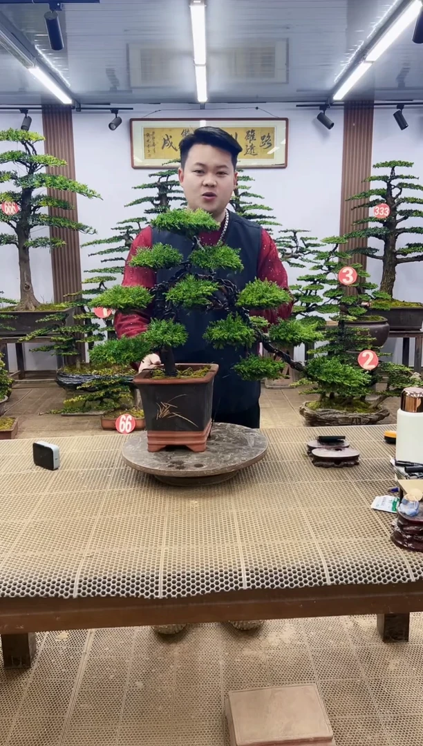 【闪购商品】00000000