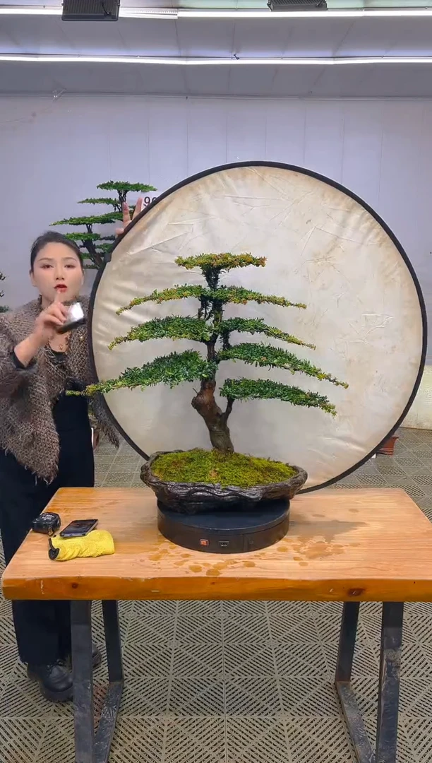 无花朵一物一拍一物一拍