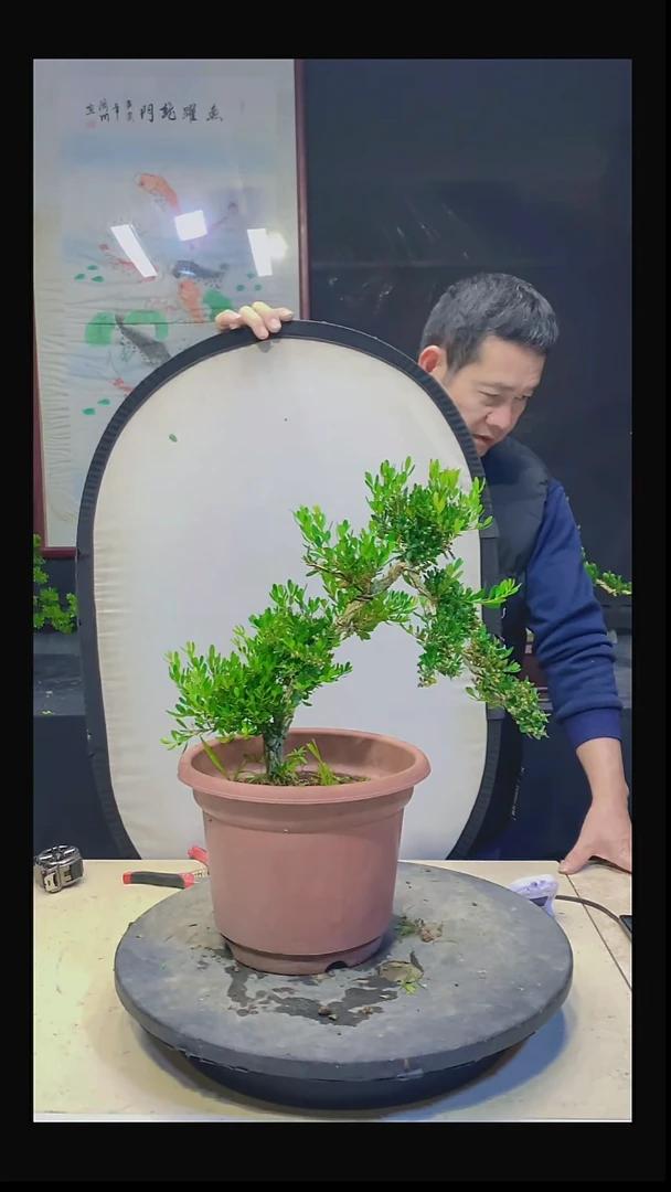 无花朵林*111111111111