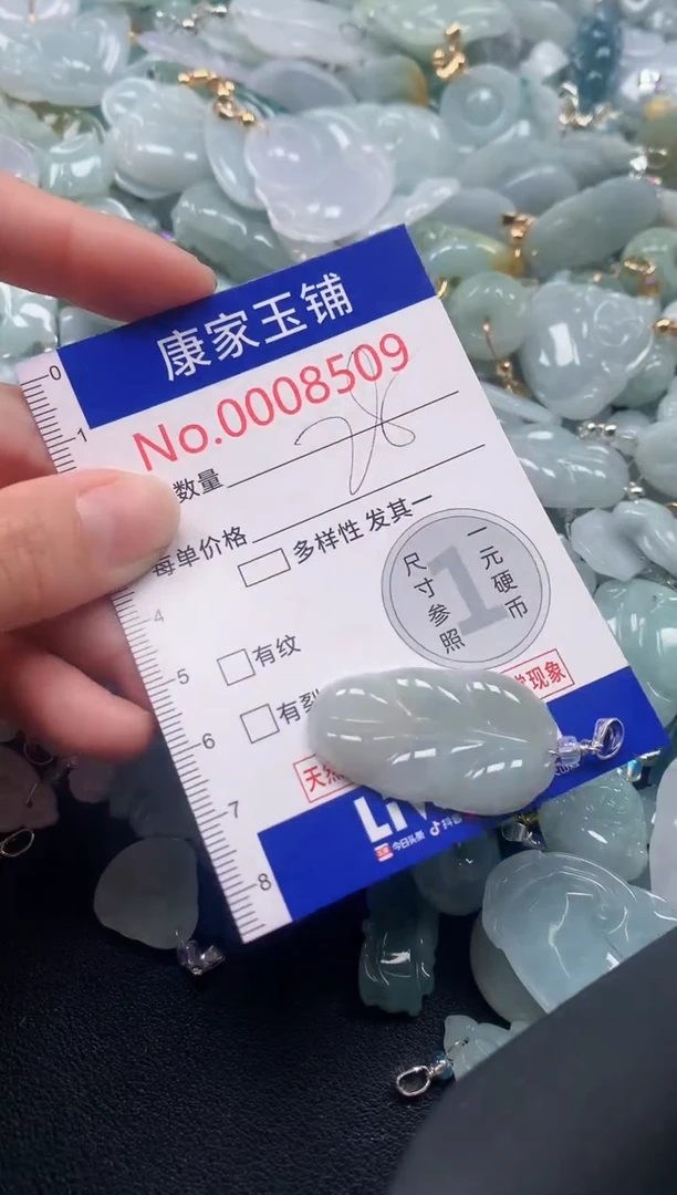 颈饰未镶嵌翡翠8509