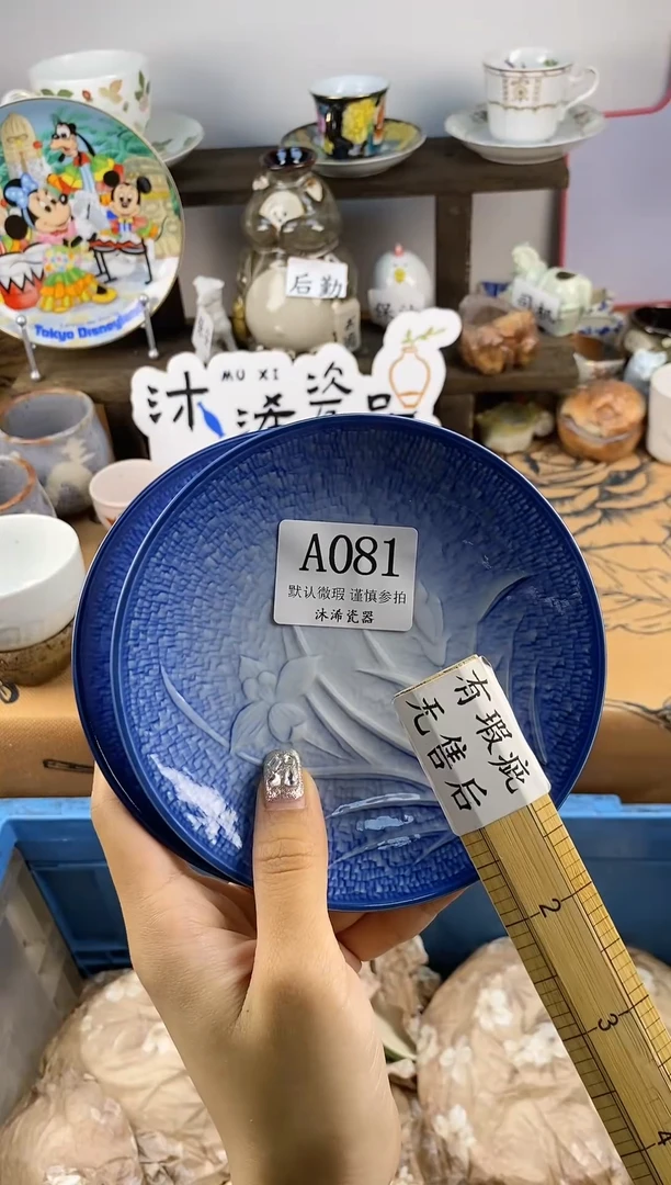 瓷片小***鱼 A 081