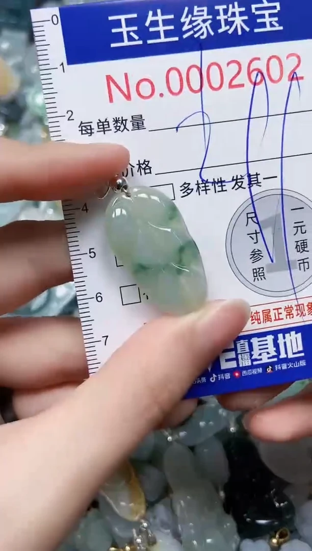 【闪购商品】翡翠颈饰未镶嵌闪购00002602