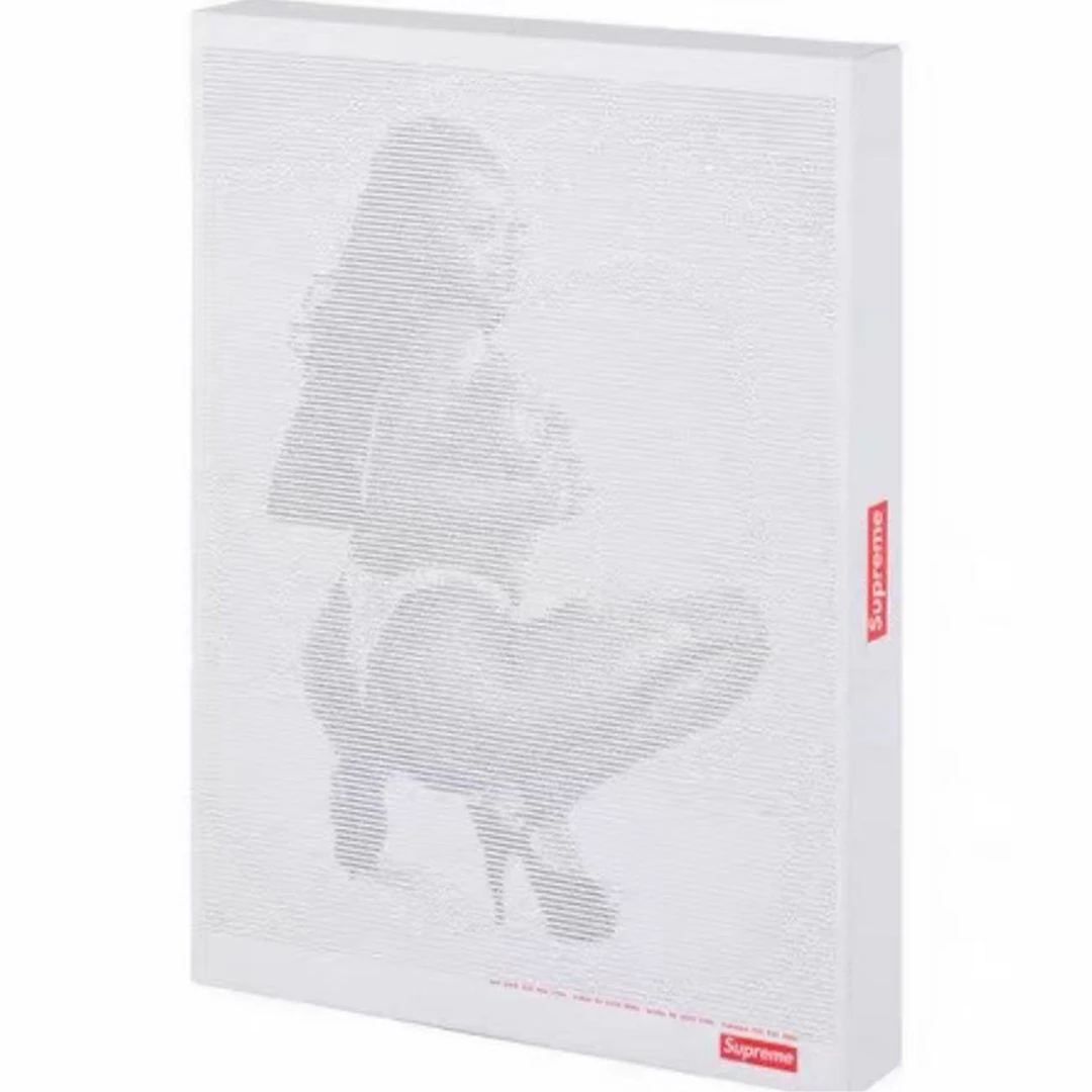 【梅】Supreme Digi Jigsaw puzzle美女拼图 17ss 500 pieces
