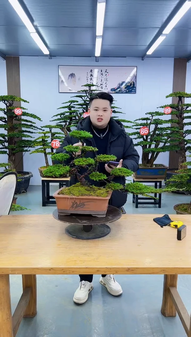 以实际为准000000