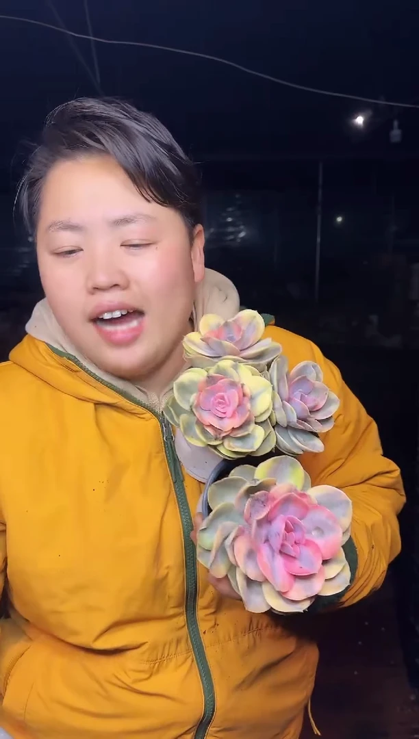 彩虹1单1多  5