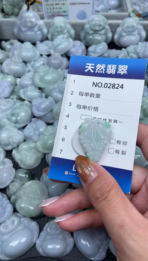 颈饰未镶嵌翡翠纯天然A货翡翠2824