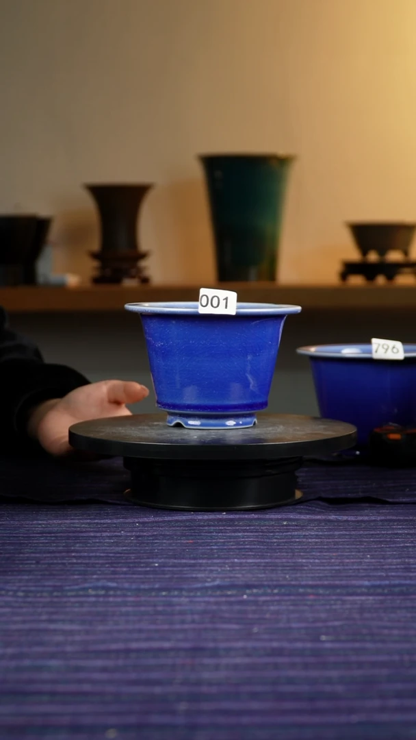 象*001宝石蓝花盆10/15