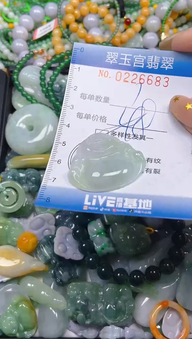 颈饰未镶嵌翡翠闪购C0226683多样性发其一