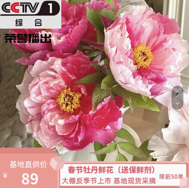 【岛锦】进口牡丹年宵花重瓣菏泽春节花束鲜切花家庭插花山东基地