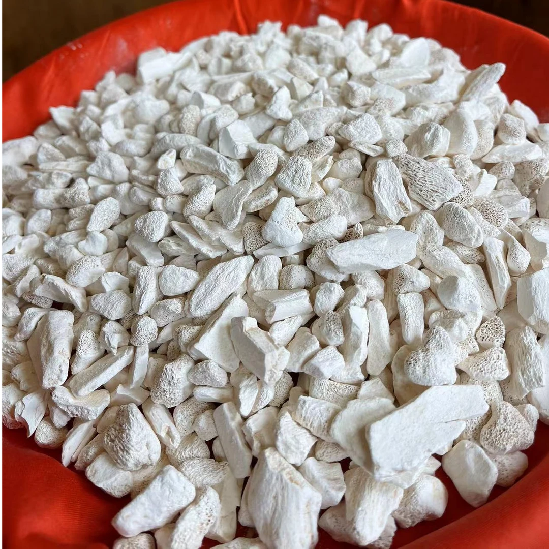 1【龙-骨】净含量：50g-500g【小田现收】