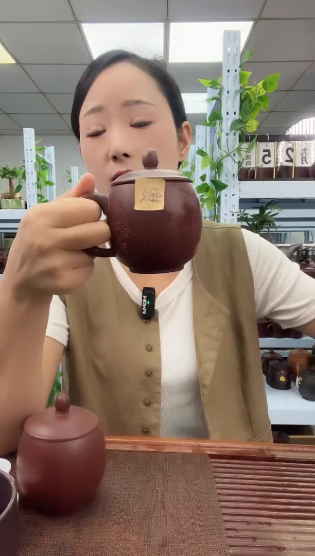 宜兴原矿紫砂全手工盖杯龙蛋舒怀
