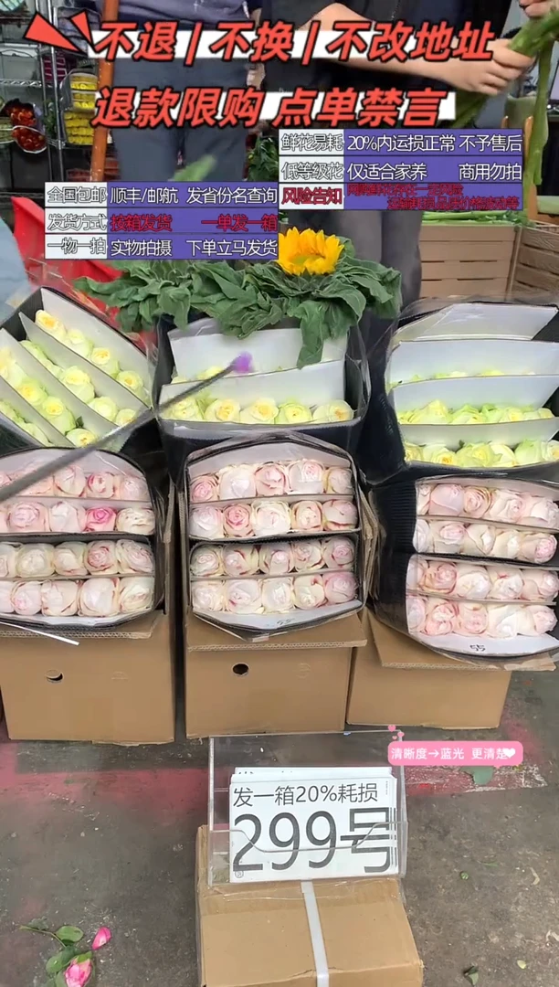 299号♥含20%耗损发一箱