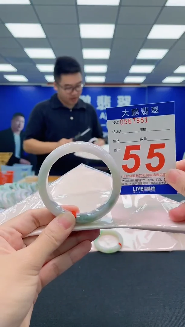 未镶嵌手镯翡翠AAAAAAAAA
