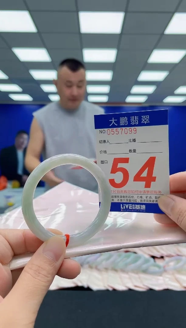 未镶嵌手镯翡翠AAAAAAAAA